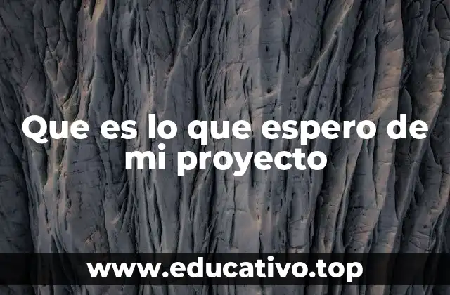 Que es lo que espero de mi proyecto