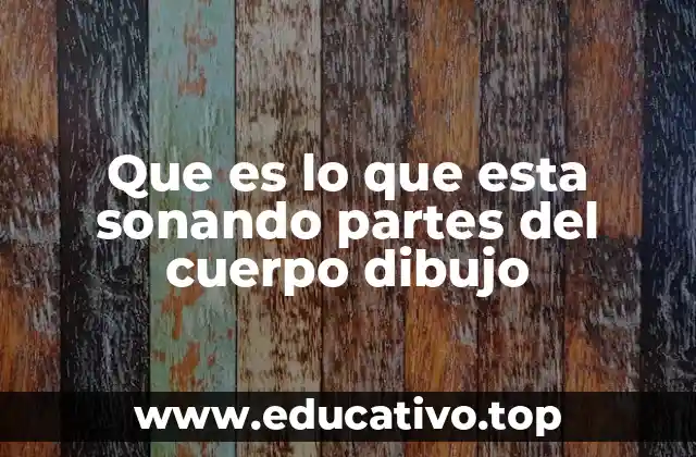 Que es lo que esta sonando partes del cuerpo dibujo