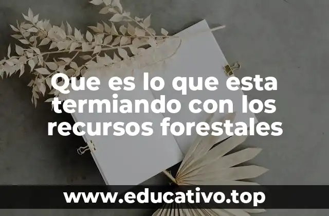 Que es lo que esta termiando con los recursos forestales