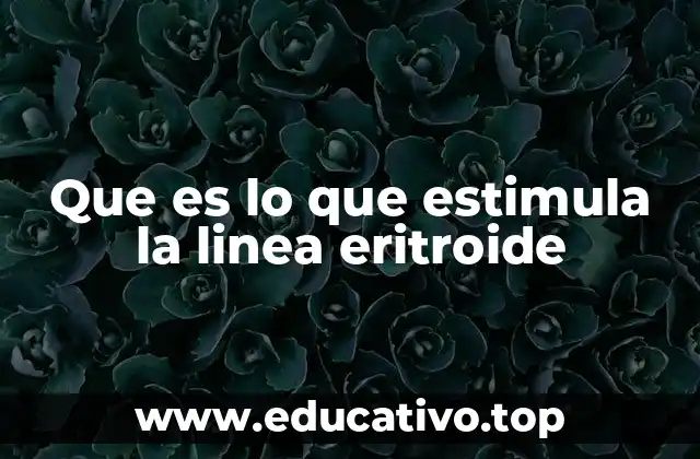 Que es lo que estimula la linea eritroide