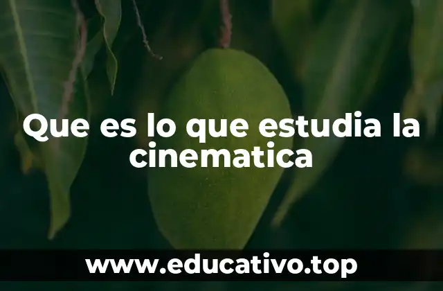 Que es lo que estudia la cinematica