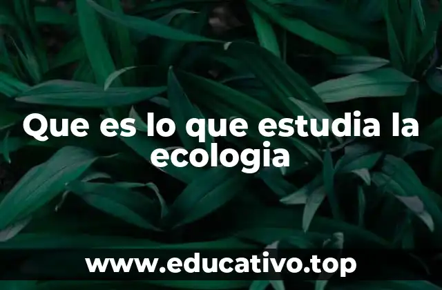 Que es lo que estudia la ecologia