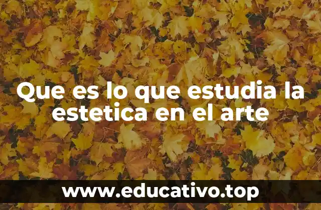 Que es lo que estudia la estetica en el arte