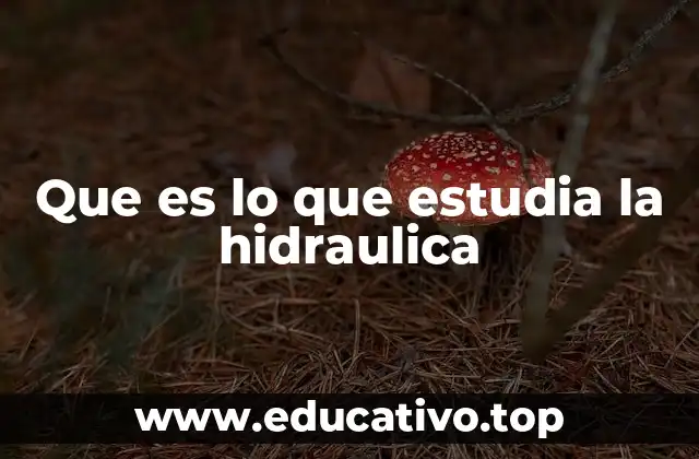 Que es lo que estudia la hidraulica