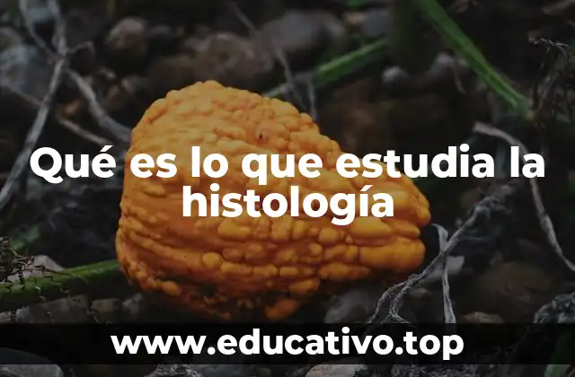 Qué es lo que estudia la histología