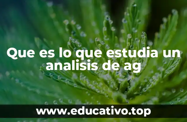 Que es lo que estudia un analisis de ag