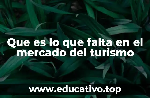 Que es lo que falta en el mercado del turismo