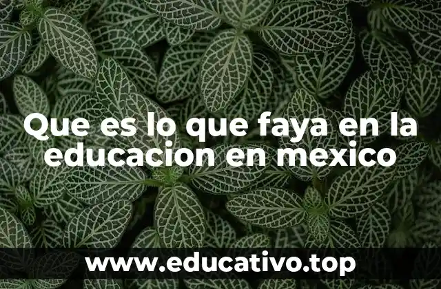 Que es lo que faya en la educacion en mexico