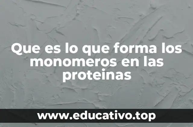 Que es lo que forma los monomeros en las proteinas