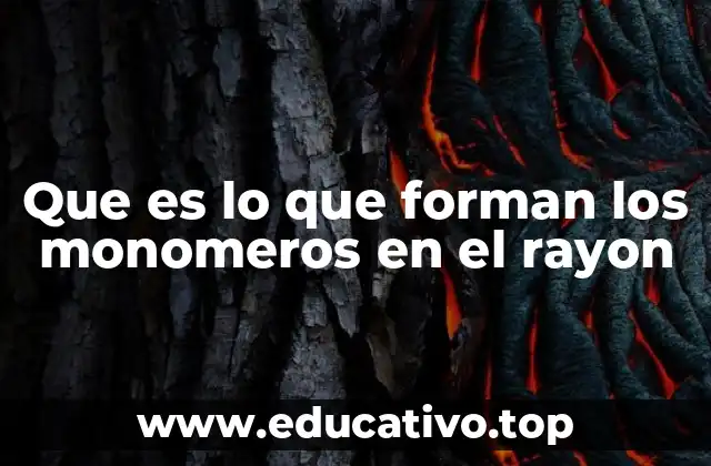 Que es lo que forman los monomeros en el rayon