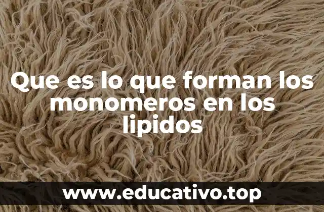 Que es lo que forman los monomeros en los lipidos
