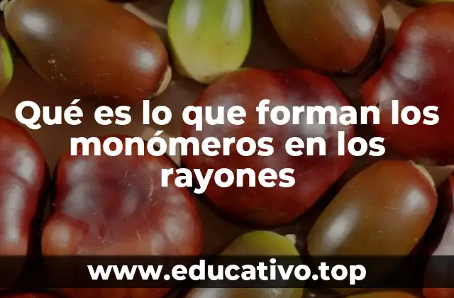 Qué es lo que forman los monómeros en los rayones