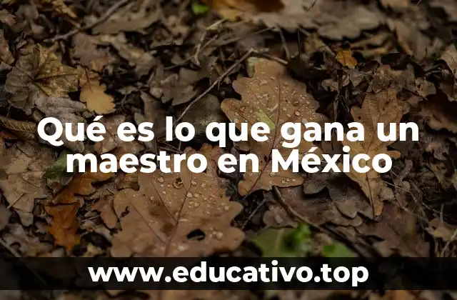Qué es lo que gana un maestro en México