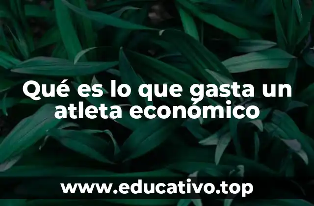 Qué es lo que gasta un atleta económico