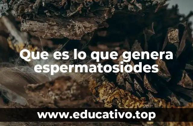 Que es lo que genera espermatosiodes