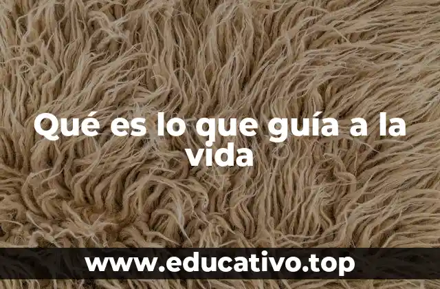 Qué es lo que guía a la vida