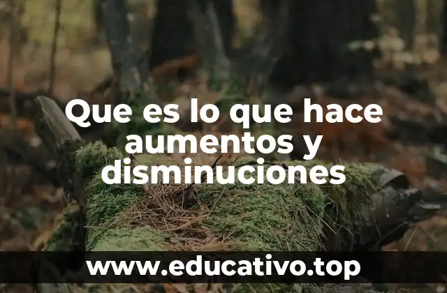 Que es lo que hace aumentos y disminuciones
