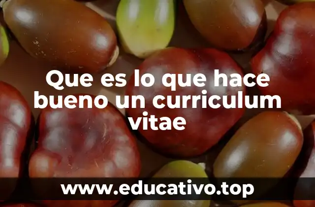 Que es lo que hace bueno un curriculum vitae