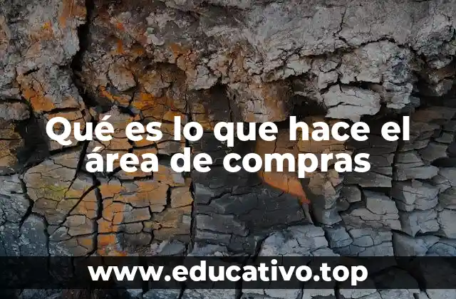 Qué es lo que hace el área de compras