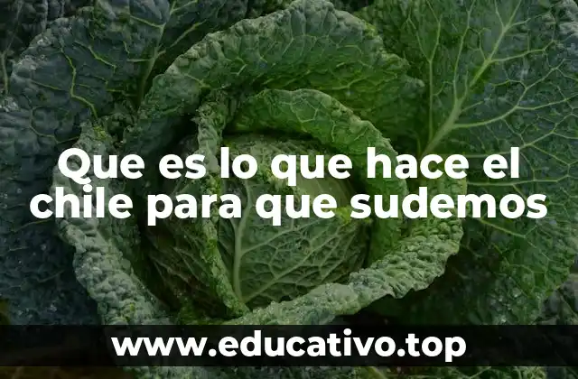 Que es lo que hace el chile para que sudemos