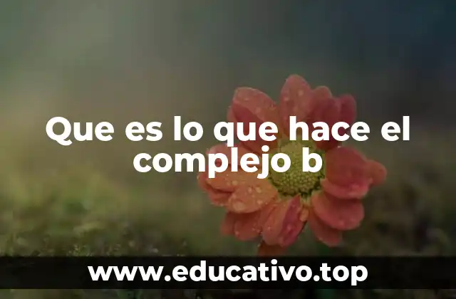 Que es lo que hace el complejo b