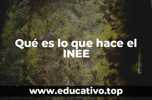 Qué es lo que hace el INEE