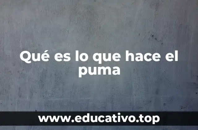 Qué es lo que hace el puma