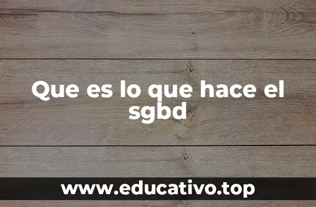 Que es lo que hace el sgbd