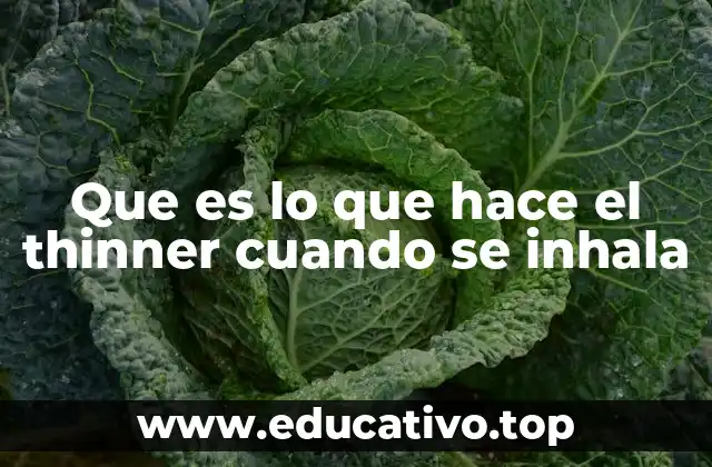 Que es lo que hace el thinner cuando se inhala