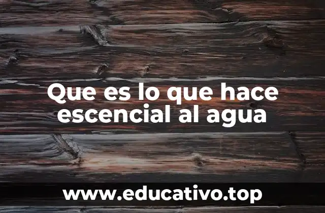Que es lo que hace escencial al agua