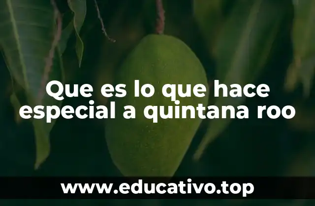 Que es lo que hace especial a quintana roo