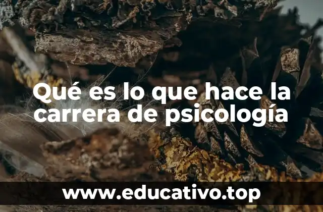 Qué es lo que hace la carrera de psicología