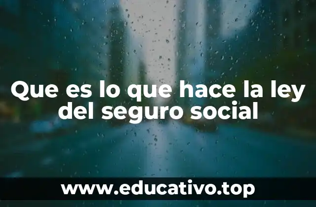 Que es lo que hace la ley del seguro social