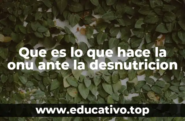 Que es lo que hace la onu ante la desnutricion