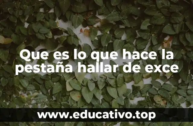 Que es lo que hace la pestaña hallar de exce