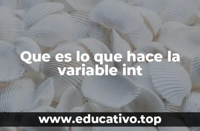 Que es lo que hace la variable int