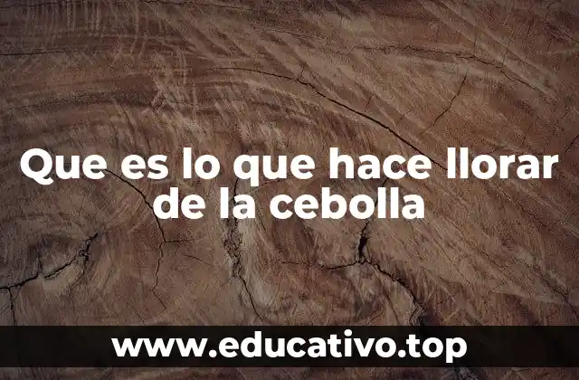 Que es lo que hace llorar de la cebolla