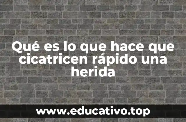Qué es lo que hace que cicatricen rápido una herida