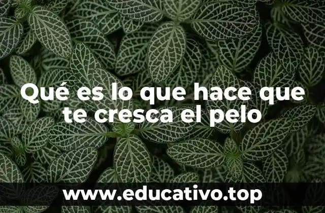 Factores que influyen en el crecimiento del cabello