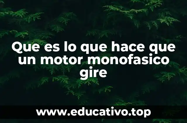 Que es lo que hace que un motor monofasico gire