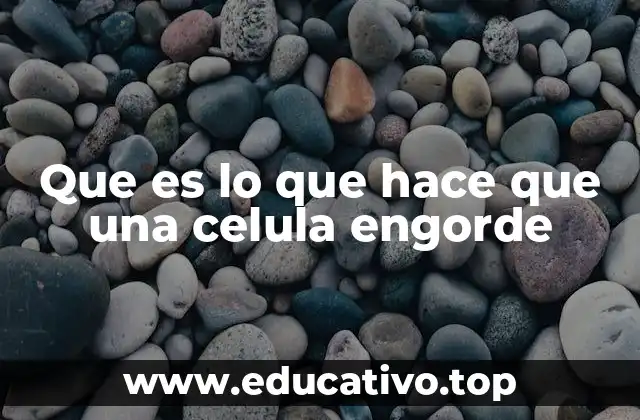 Cómo interactúan los estímulos internos y externos en el crecimiento celular