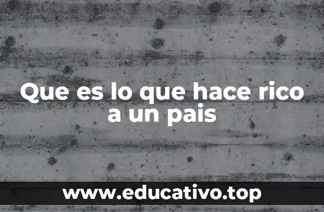Que es lo que hace rico a un pais