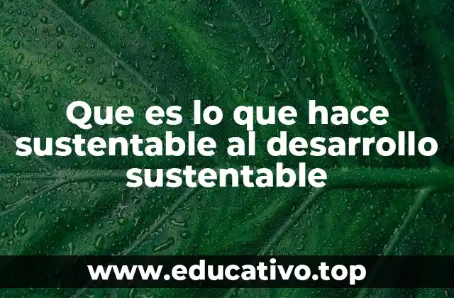 Que es lo que hace sustentable al desarrollo sustentable