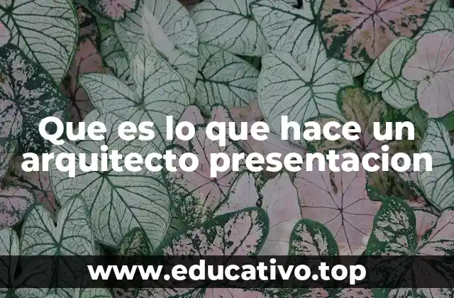 Que es lo que hace un arquitecto presentacion