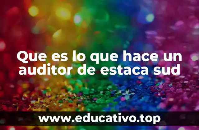 Que es lo que hace un auditor de estaca sud