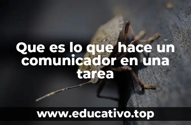 Que es lo que hace un comunicador en una tarea
