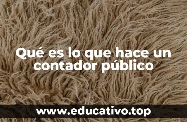 Qué es lo que hace un contador público