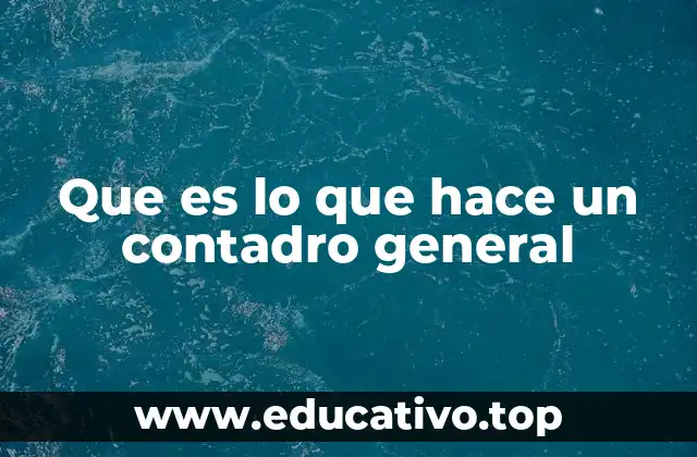 Que es lo que hace un contadro general