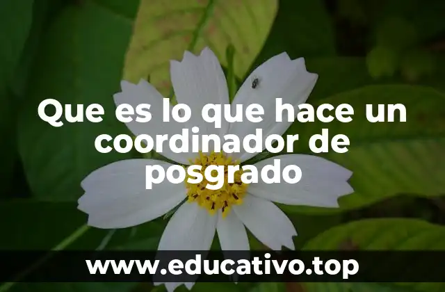 Que es lo que hace un coordinador de posgrado