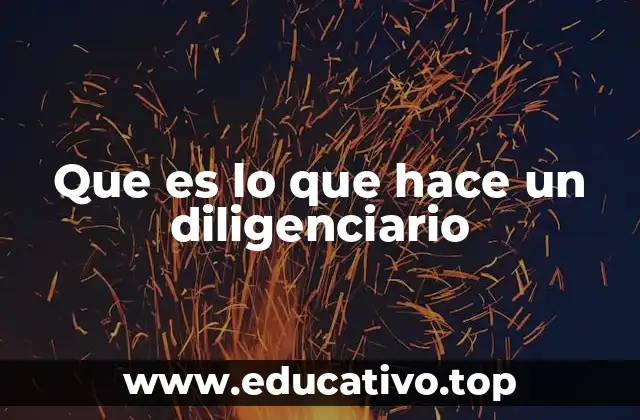 Que es lo que hace un diligenciario